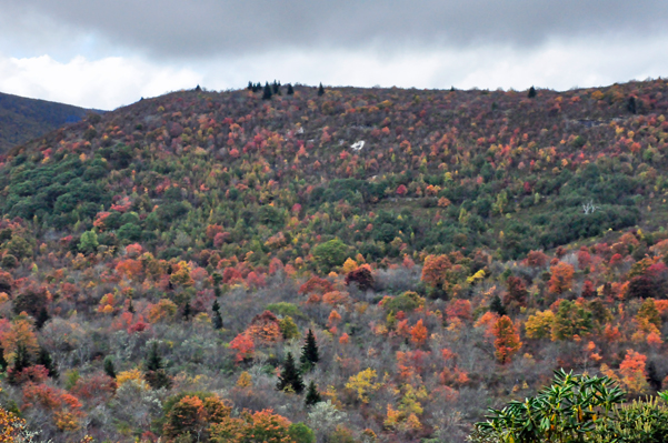 fall colors on The Blue Ridge Parkway